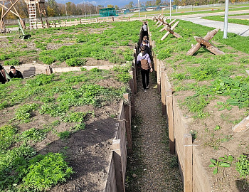 ������������������ ����������� ������, ����������� � ������ ������ �����������, �������� ����� ��������