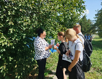 В Брюховецком районе подвели итоги организации летней занятости несовершеннолетних
