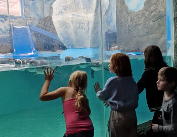 ��� ����� � ���������� ���������� ������, ����������� � ������ ������ �����������, ������������ ������������� �������