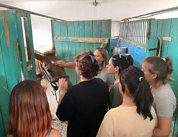 Дети Тимашевского района посетили обзорную экскурсию в спортивной школе конного спорта