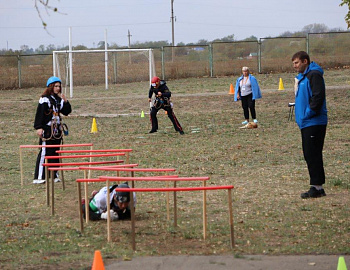 � ��������� ������ ��������� ���������������� ������������� ��������� ��������� 2024�