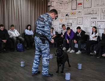 � ���������� ������ ��� ������������������, ����������� � ������ ������ �����������, ��������� ������������� �����������