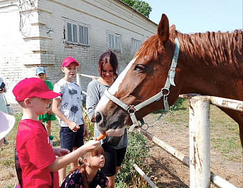 Для несовершеннолетних Гулькевичского района организована незабываемая поездка на Конный завод «Восход»