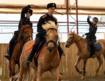 � ���������� ������� ����� ������ ��������������� �������� ����� ���� �������