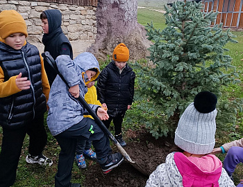 ��� ������������������ ����� ������������ ��������� ���-�������������� ��������� �����