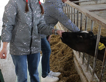 ������������ ����������� �����-��������� � ������������� ���� �������� �������� �����