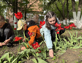 День Земли в Гулькевичском районе