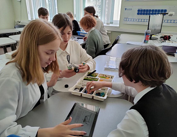 ������ ������ ���������������� ���������� ������ � ������� ����������� � ������������� ����