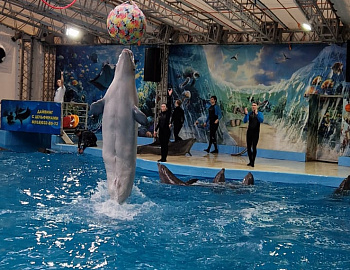 ��� ����� � ���������� ���������� ������, ����������� � ������ ������ �����������, ������������ ������������� �������