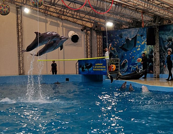 ��� ����� � ���������� ���������� ������, ����������� � ������ ������ �����������, ������������ ������������� �������