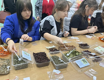 В Выселковском районе проведено межведомственное профилактическое мероприятие «Безопасная среда: создаем вместе»