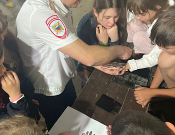 Профильная смена «Путь к успеху» в Темрюкском районе