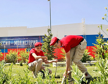 � ���������� ���������� ������� �������� � ������� ������ �������