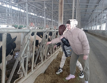 ������������ ����������� �����-��������� � ������������� ���� �������� �������� �����