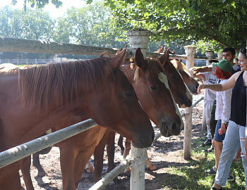 ��������� �� ������ ����� ������� ��� ����� �������������� ������