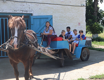 ��������� �� ������ ����� ������� ��� ����� �������������� ������