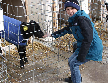 ������������ ����������� �����-��������� � ������������� ���� �������� �������� �����