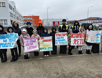 � ����������� ������ ��������� ���������������� ����������� � ������ ������� �������� ������������ �����