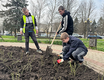 В Павловском районе проведено облагораживание центральной аллеи