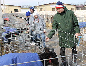 ������������ ����������� �����-��������� � ������������� ���� �������� �������� �����