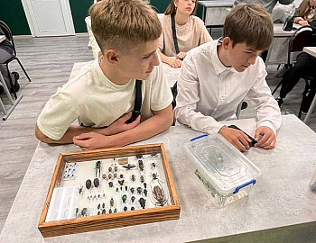 � ����� ��������� ����� �������������� �������� �������������� �����-2024�